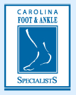 CFS-Logo